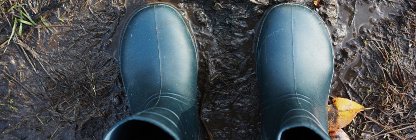 硬質橡膠耐熱溫度試驗