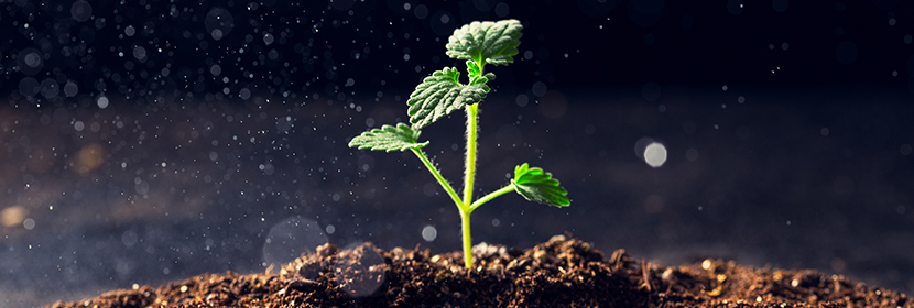 含量分析試驗(yàn)